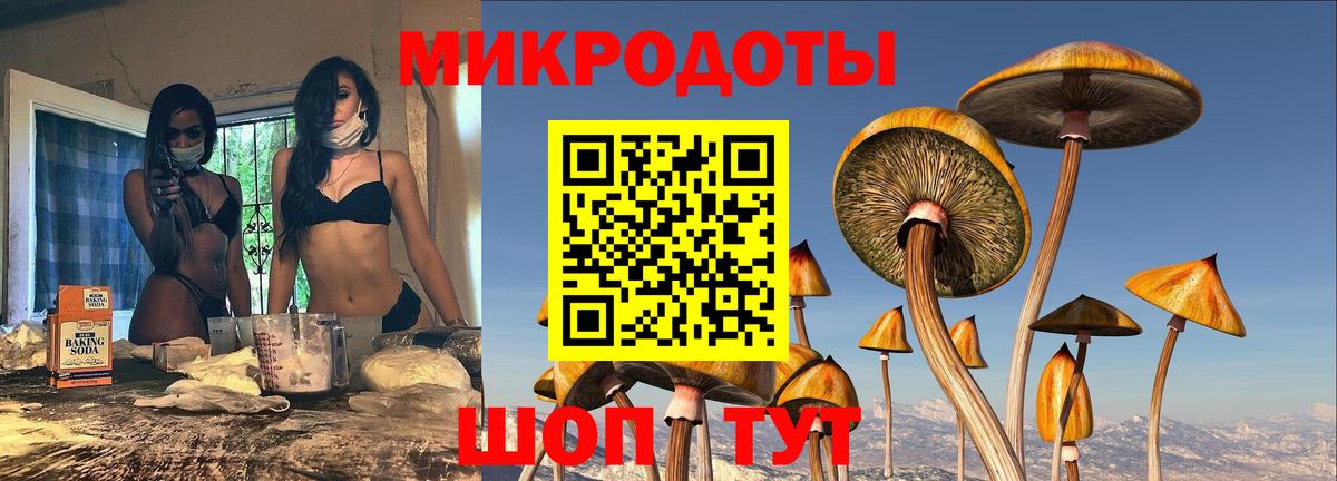Озёры  Галлюциногенные грибы MAGIC MUSHROOMS  Псилоцибиновые грибы Psilocybe  Вход с VPN 